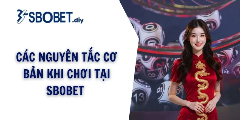 Các nguyên tắc cơ bản khi chơi tại sbobet