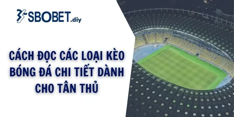Cách đọc các loại kèo bóng đá chi tiết dành cho tân thủ