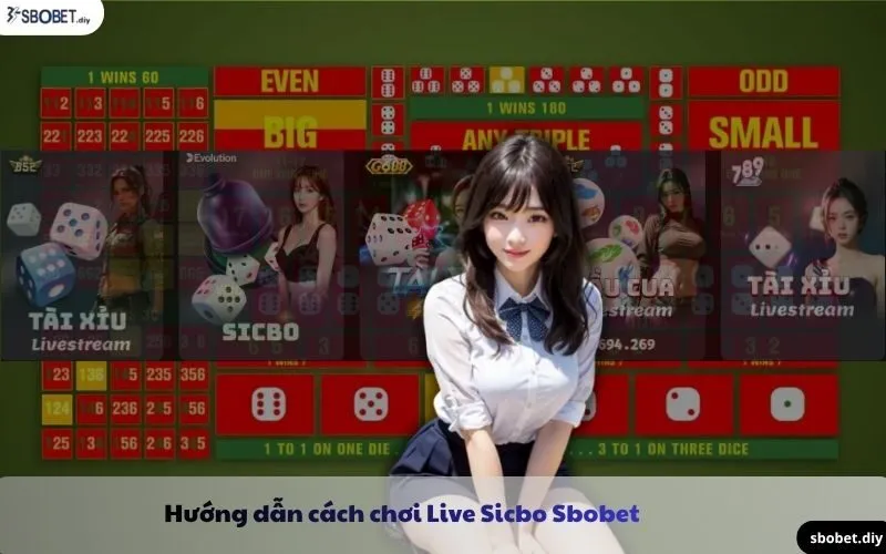 hướng dẫn chơi live sicbo sbobet