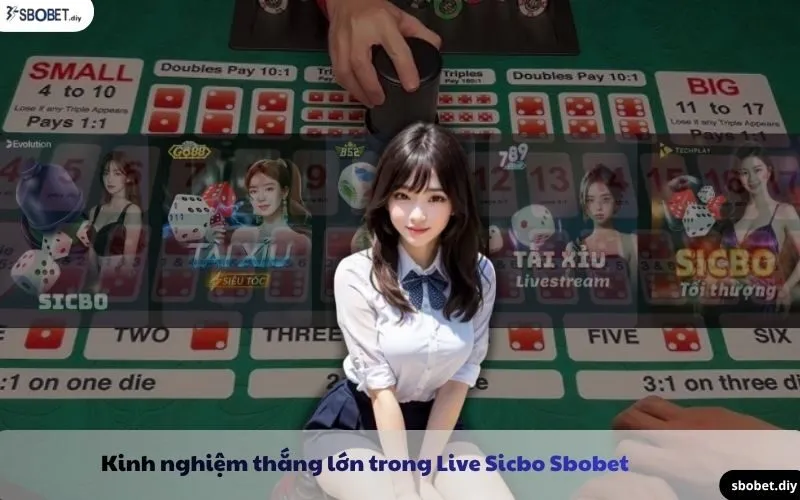 kinh nghiệm chơi live sicbo sbobet