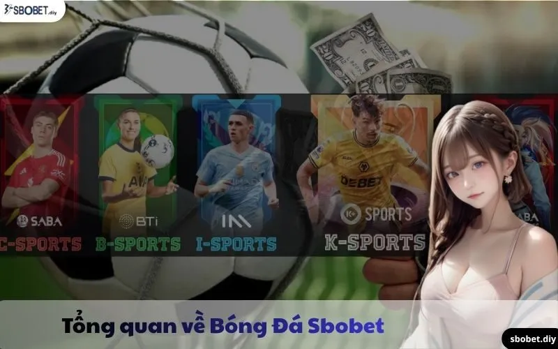 Tổng quan về nhà cái Cá Cược Bóng Đá