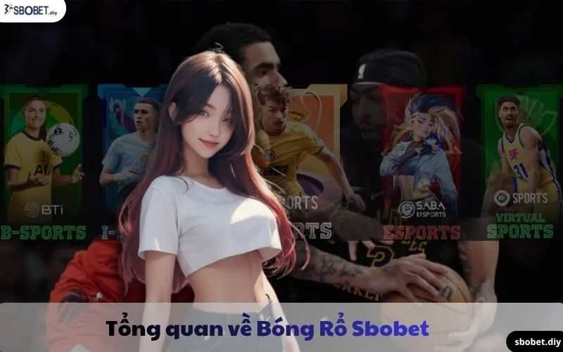 tổng quan về bóng rổ sbobet