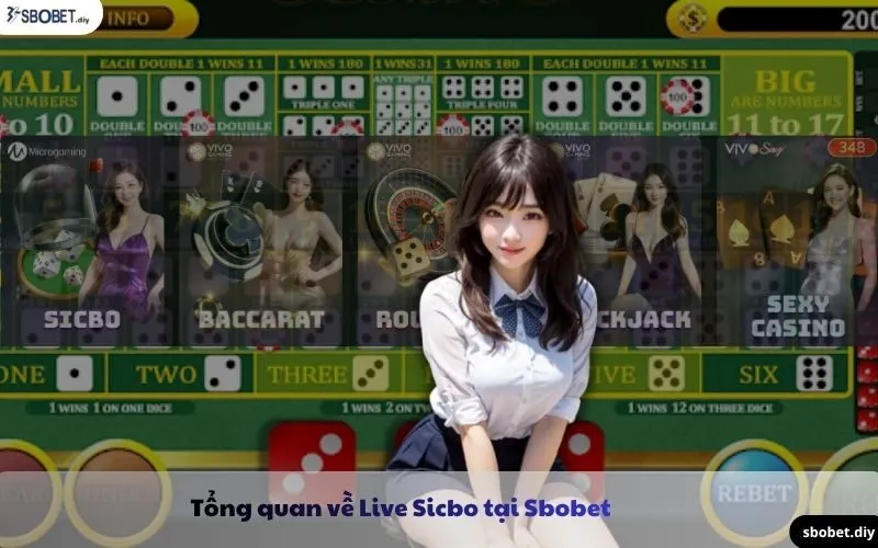 tổng quan về live sicbo sbobet